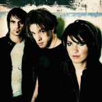 Sick Puppies