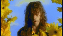 My Hippy Angel – Bob Geldof – Боб Гелдоф – Хиппы Ангел