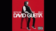 Nothing Really Matters – David Guetta –  – 