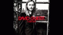 Rise – David Guetta –  – 