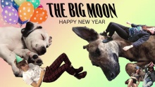 Happy New Year – The Big Moon –  – 