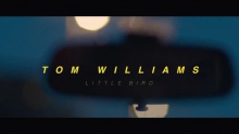 Little Bird - Tom Williams