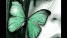 Butterfly - Dj Layla