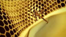 RHYTHM IS A DANCER’03 - Snap!