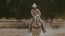 Rhinestone Cowboy - Glen Campbell