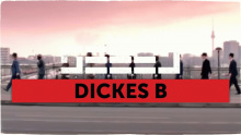 Dickes B - Seeed