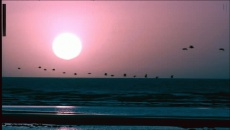 The Test (2003 - Remaster) - The Chemical Brothers