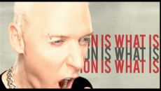 THE QUESTION IS WHAT IS THE QUESTION - Scooter