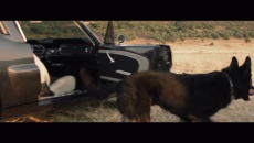 Gypsy Heart - Playmen & HADLEY