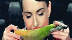 Искусаю - Nikita