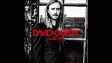 Goodbye Friend – David Guetta –  – 