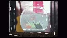 Смотреть клип Fishbowl - Jessarae