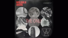 Смотреть клип The Only - Welshly Arms