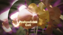 Смотреть клип Profundidad - Coti