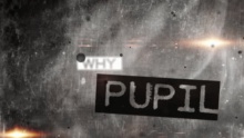 Why - Pupil