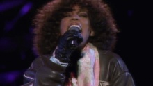 Didn't We Almost Have It All - Whitney Houston