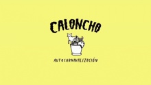 Смотреть клип Autocarnavalización - Caloncho
